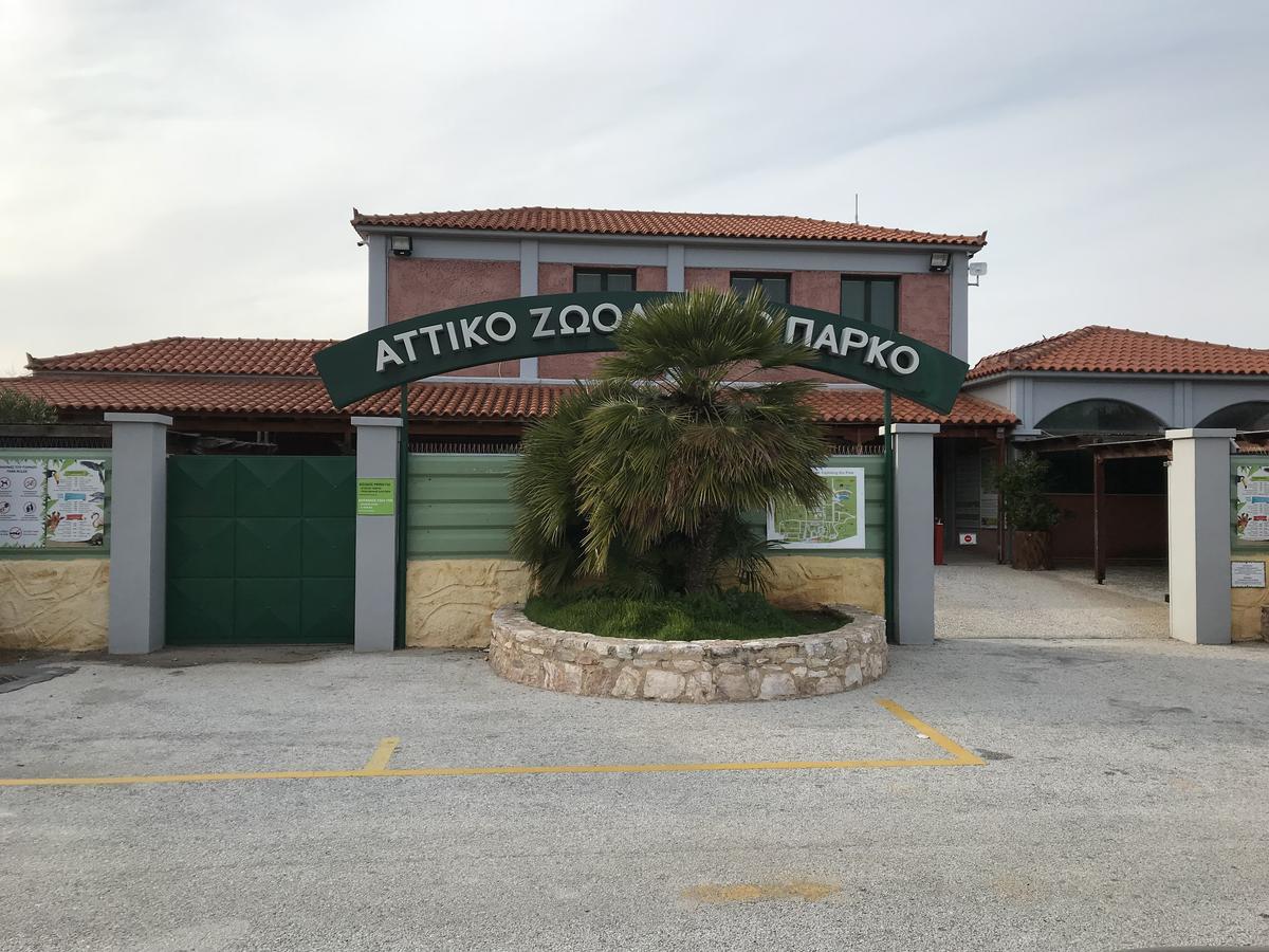 Dina'S House Βίλα Σπάτα Εξωτερικό φωτογραφία